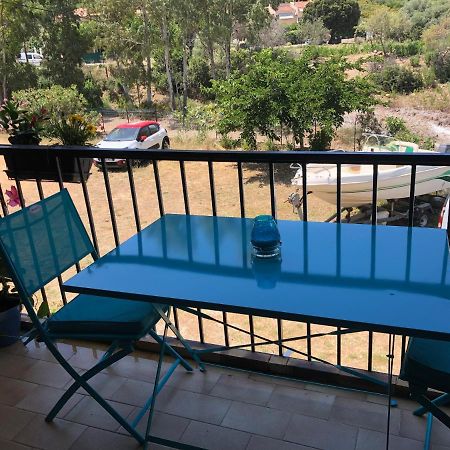 Residence Palmarella Appartement 10 加莱里亚 外观 照片