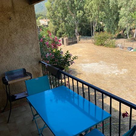 Residence Palmarella Appartement 10 加莱里亚 外观 照片