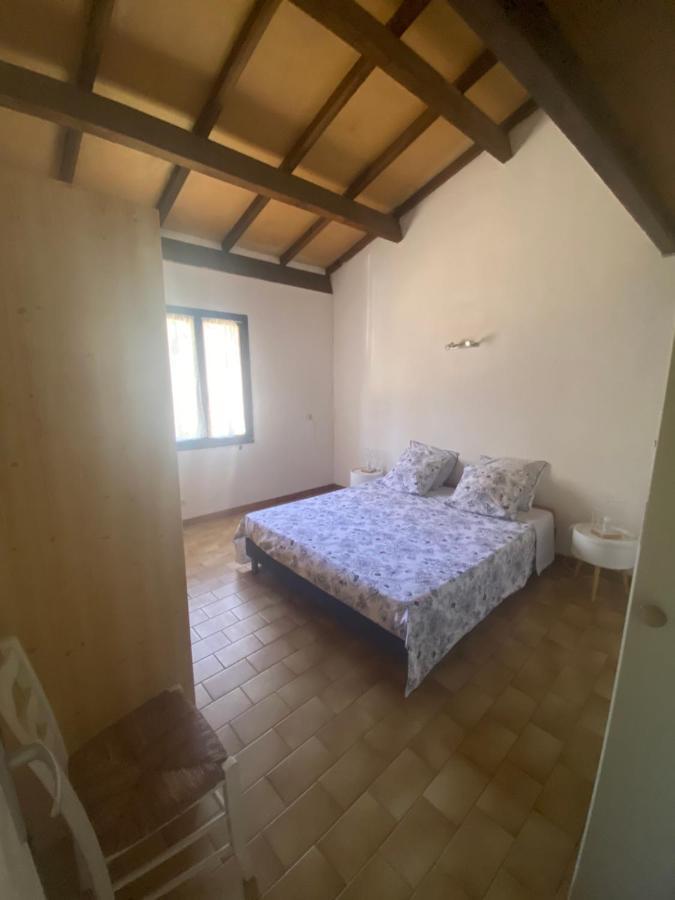 Residence Palmarella Appartement 10 加莱里亚 外观 照片