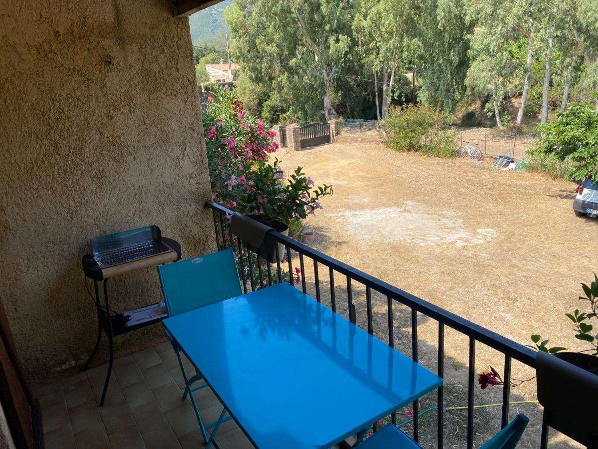 Residence Palmarella Appartement 10 加莱里亚 外观 照片