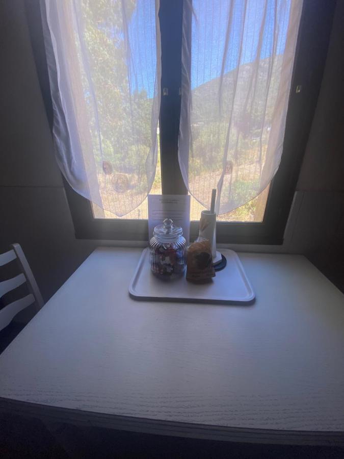 Residence Palmarella Appartement 10 加莱里亚 外观 照片